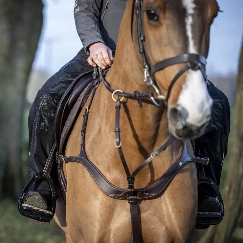 Chaps pour équitation imperméables LeMieux DryTex Stormwear